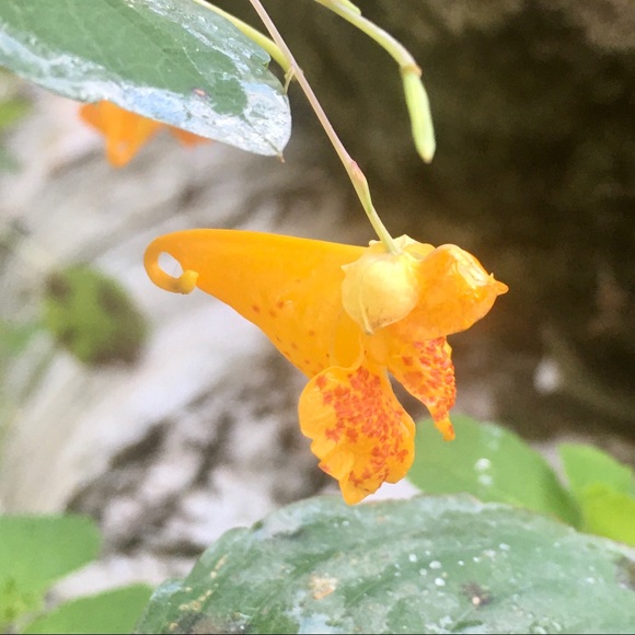 Meet your Posher, Katrin - Picture 12 of 16